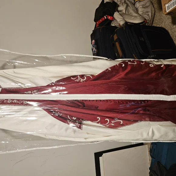 Alfred Angelo Ivory and Red Wedding Dress - Picture 3 of 6